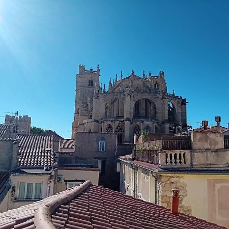 Studio Terrasse Vue Cathedrale Нарбонна Экстерьер фото